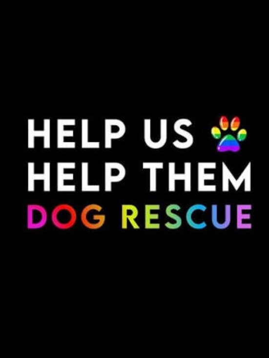 Meet the Posher Other - FUR BABIES NEED YOUR HELP!